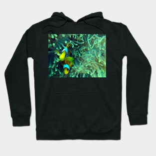 anemone fish in coral reef Hoodie